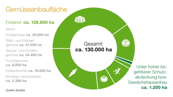 Gemüse - Agricultural Solutions