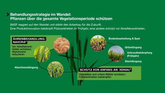 Infografik zur Behandlungsstrategie im Ackerbau mit Produkten wie NAVURA® und XENIAL® zur Bekämpfung von Krankheiten über die Vegetationsperiode hinweg