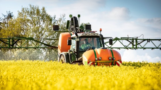 Traktor mit angebautem Spritzgerät beim Pflanzenschutz-Einsatz in einem blühenden Rapsfeld.