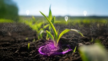 Dokumentation nervt...