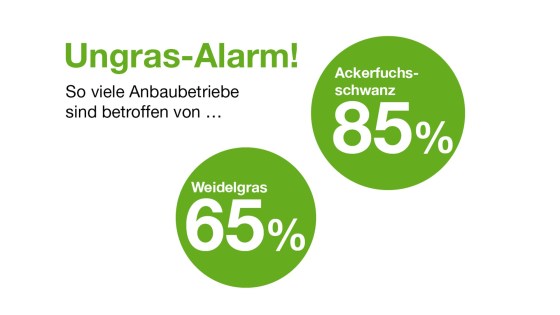 Infografik zu Vorteilen von bodenwirksamen Herbiziden im Raps, z. B. Bekämpfung von Ackerfuchsschwanz.