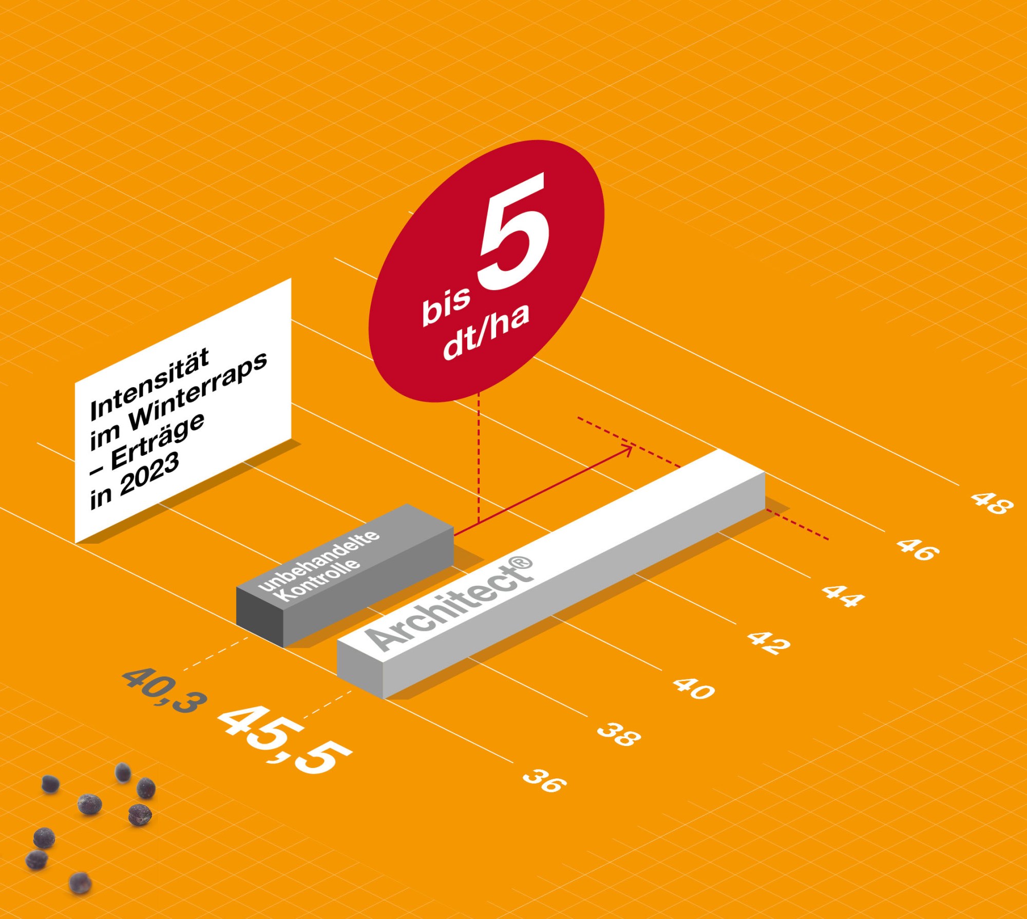Ertragsvergleich im Winterraps 2023: Architect® erzielt bis zu 5 dt/ha mehr Ertrag als unbehandelte Kontrolle