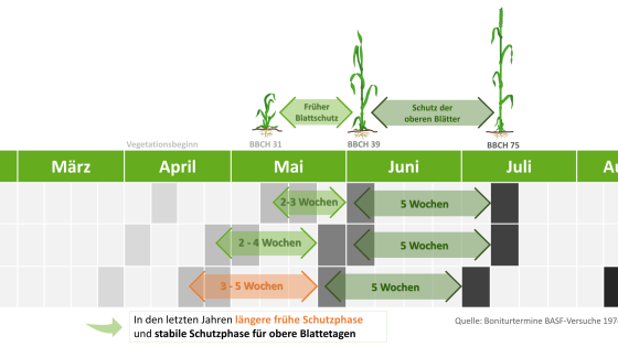 Kalendergrafik mit Schutzphasen für Getreidepflanzen, aufgeschlüsselt nach BBCH-Stadien und Monaten.