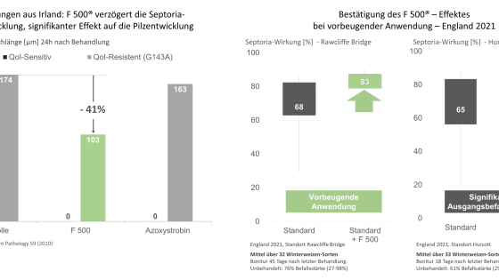 Balkendiagramme zur Wirkung von F 500® auf Septoria-Pilz bei Winterweizen – Vergleich verschiedener Standorte und Anwendungen.