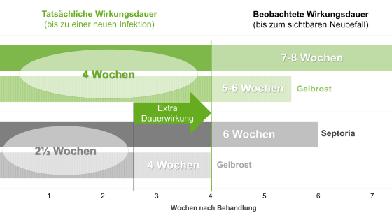 Vergleich von tatsächlicher und beobachteter Wirkungsdauer verschiedener Fungizide bei Gelbrost und Septoria.