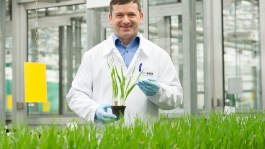 Die Formulierung ist uns wichtig