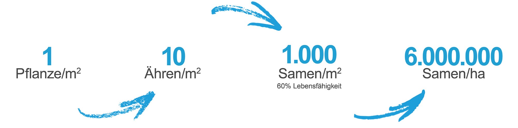 Grafik Luximo Samenpotenzial
