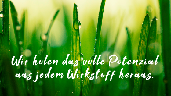 Forschung schafft Vorsprung