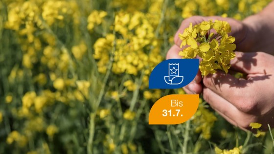 Mit Cantus® Ultra die Rapsblüte schützen und an tollen Aktionen im FarmersClub teilnehmen!