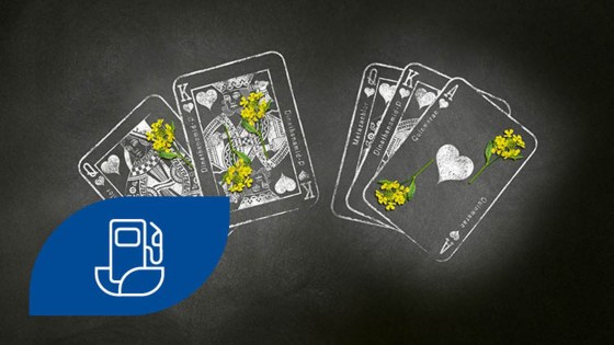 Jetzt im Raps alle Trümpfe ausspielen und günstiger tanken!