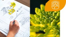 Doppelt Bonus zum Testen: Architect® & Cantus Ultra® Neu und noch besser!