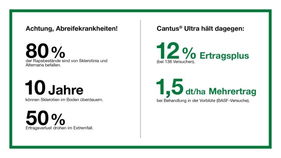 Infografik zu Abreifekrankheiten in Rapsbeständen mit Hinweisen auf die Wirksamkeit von Cantus® Ultra zur Ertragssteigerung.