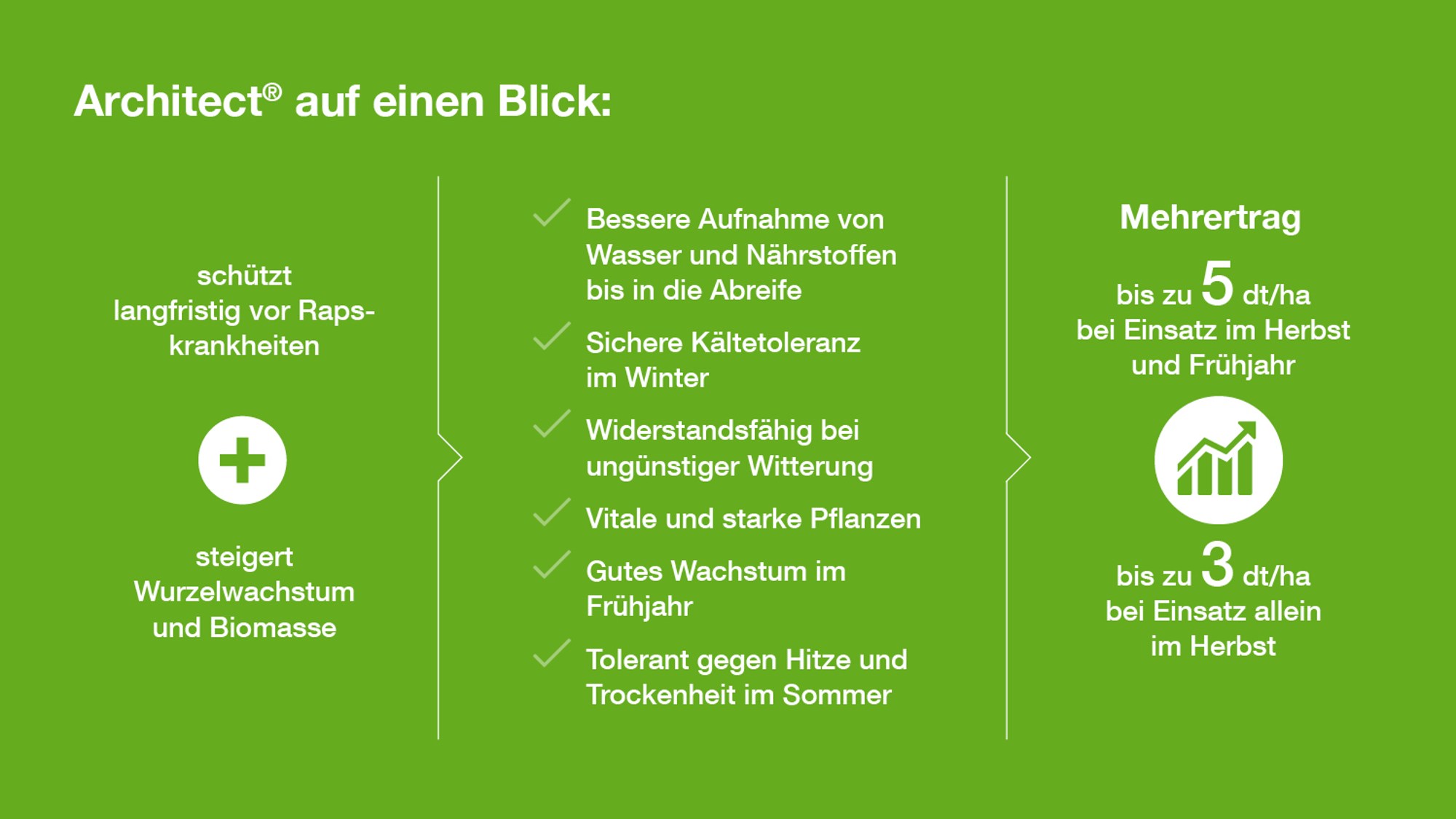 Grüne Infografik zeigt Vorteile von Architect® im Raps: Schutz, Wachstum, Toleranz, Mehrertrag bis 5 dt/ha.
