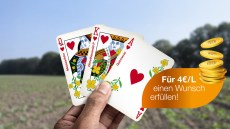 FarmesClub Herbstaktionen