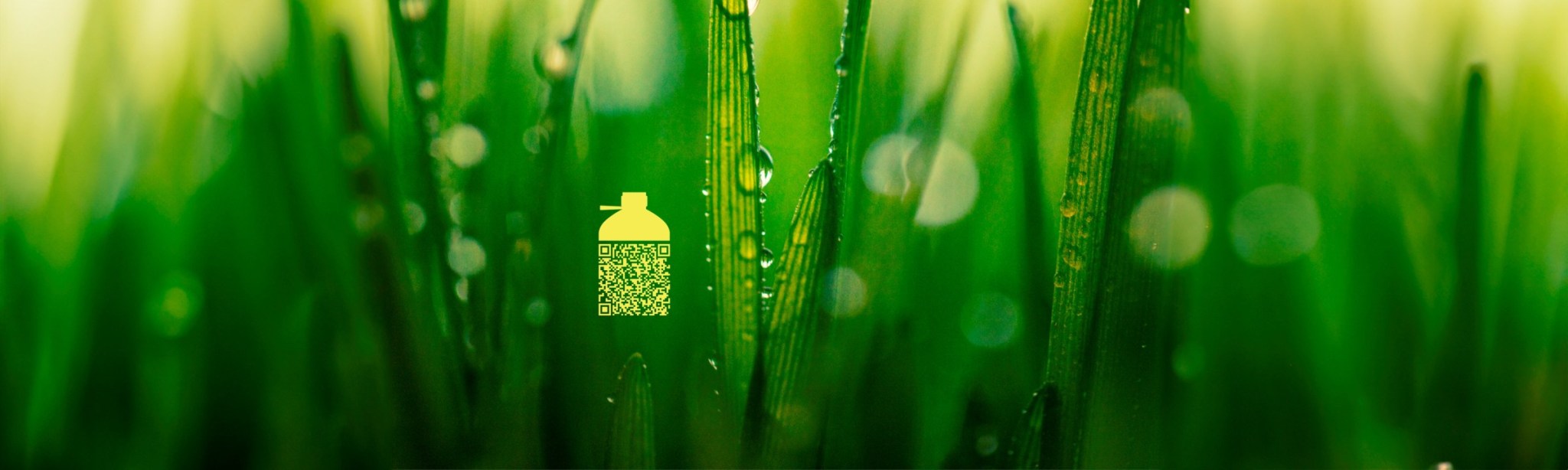 Pflanzentropfen vor grünem Hintergrund