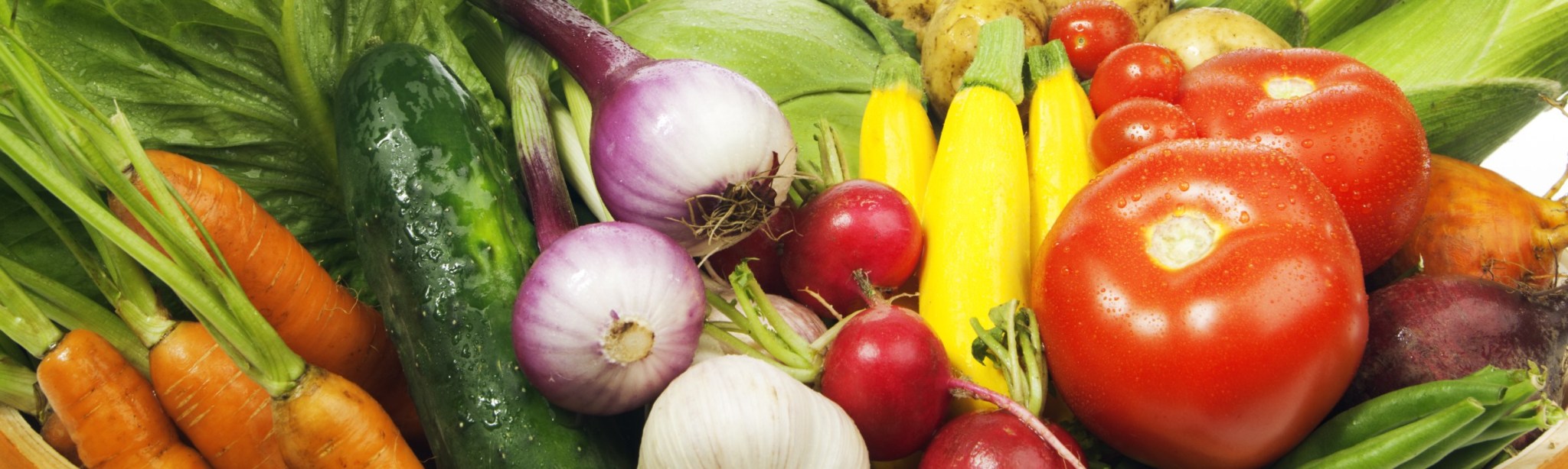 Gemüse BASF Agricultural Solutions Deutschland