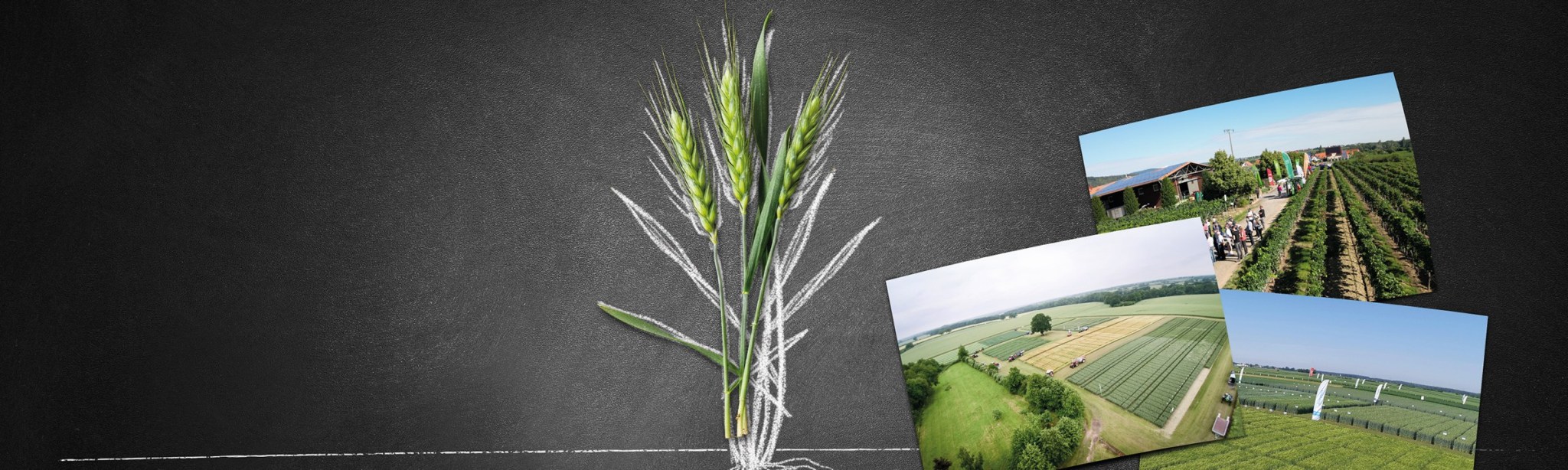 Veranstaltungen, Feldtage, Fachtagungen und Events von BASF Agricultural Solutions Deutschland