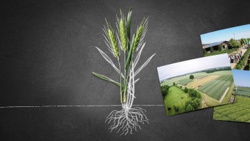 Aktuelle Veranstaltungen