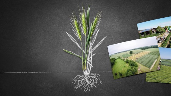 Aktuelle Veranstaltungen