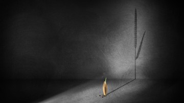 Ein wachsendes Problem