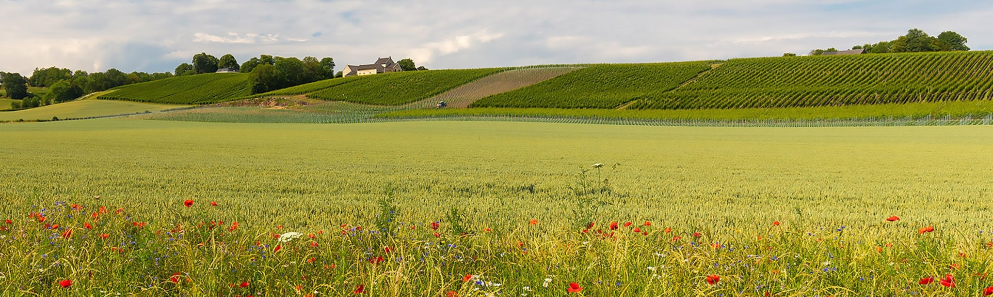 Serviceland BASF Agricultural Solutions