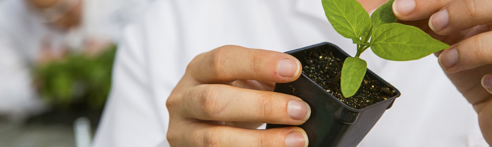 Karriere bei BASF Agricultural Solutions Deutschland