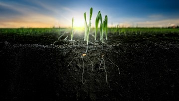 Der Lichtblick in der Ungraskontrolle