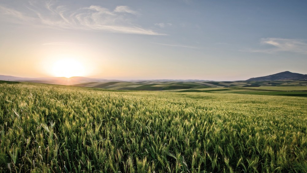 Agrarwetter | BASF Agricultural Solutions DE