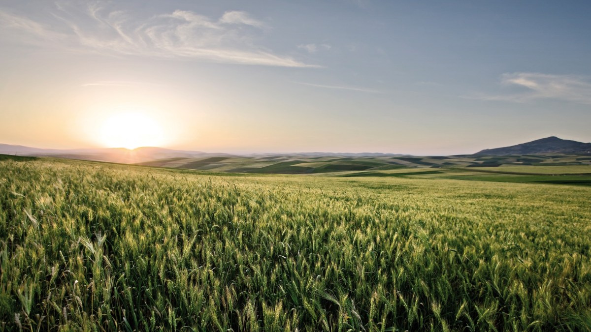 Agrarwetter | BASF Agricultural Solutions DE