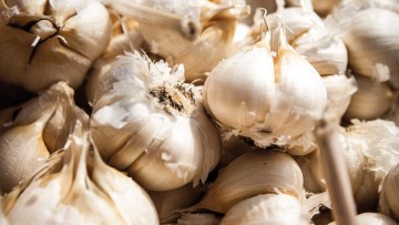 Knoblauch