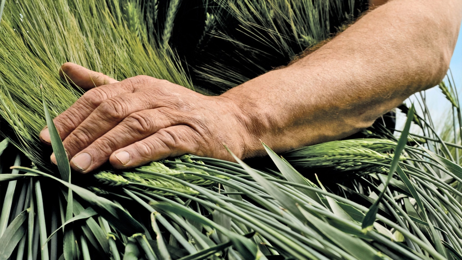Getreide: Stabil und standsicher | Agricultural Solutions