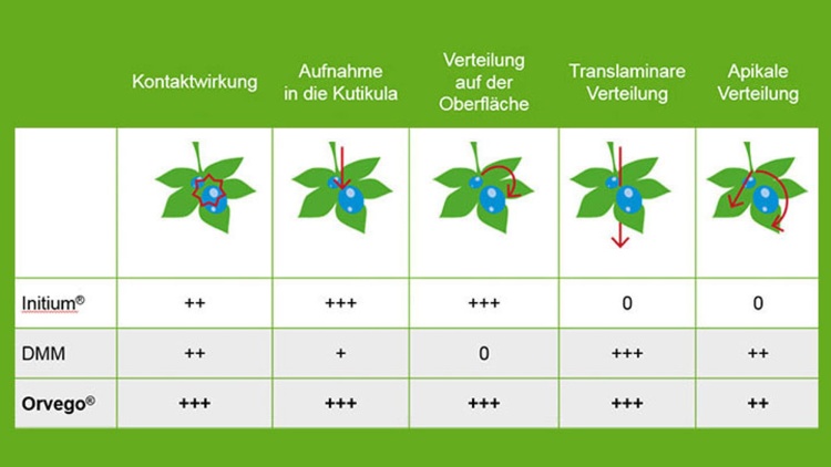 Wirkstoffverteilung Orvego