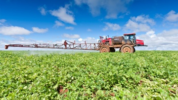 Kartoffeln: Effektive Bekämpfung von Alternaria-Arten