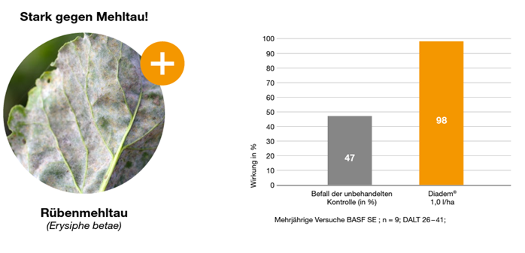 Diadem gegen Mehltau