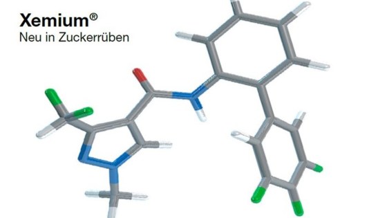 Xemium Molekül