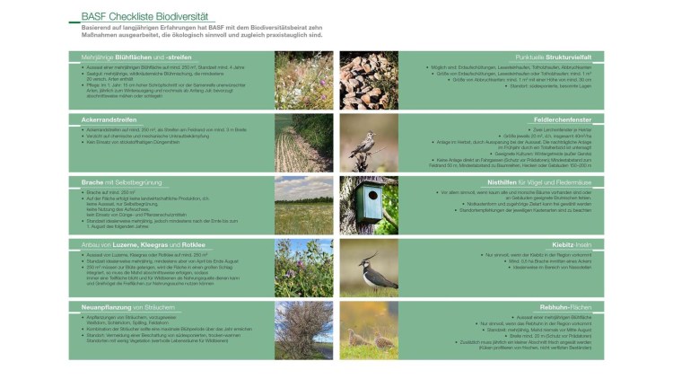 BASF Checkliste Biodiversität