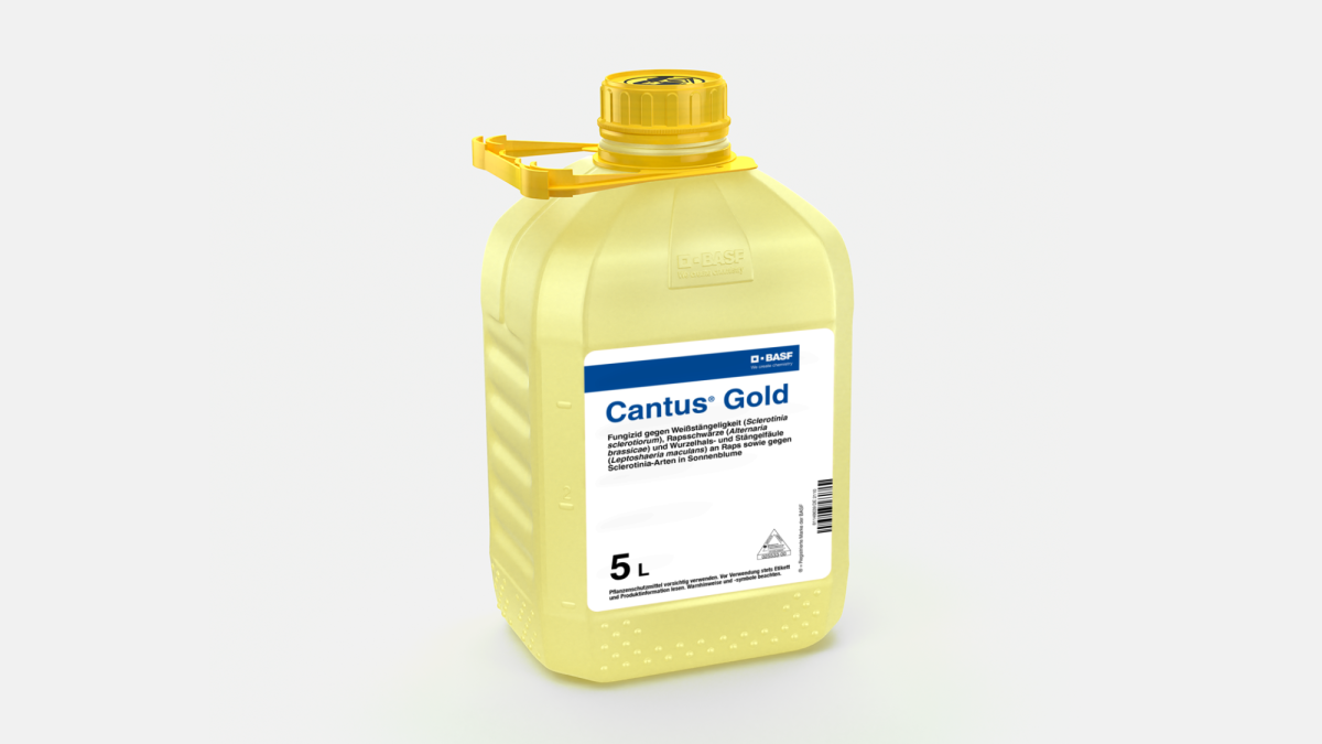 Cantus® Gold - 58649766