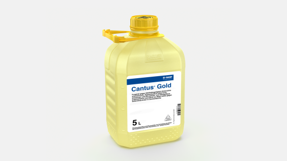 Cantus® Gold