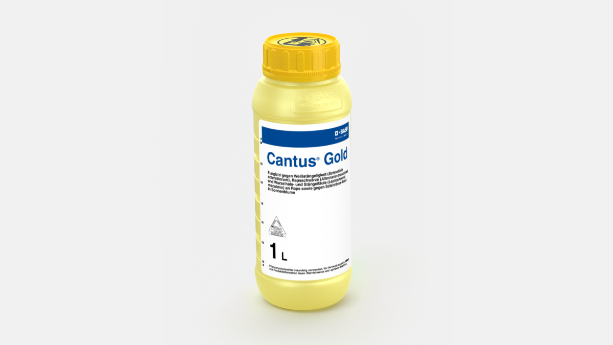 Cantus® Gold - 58649940