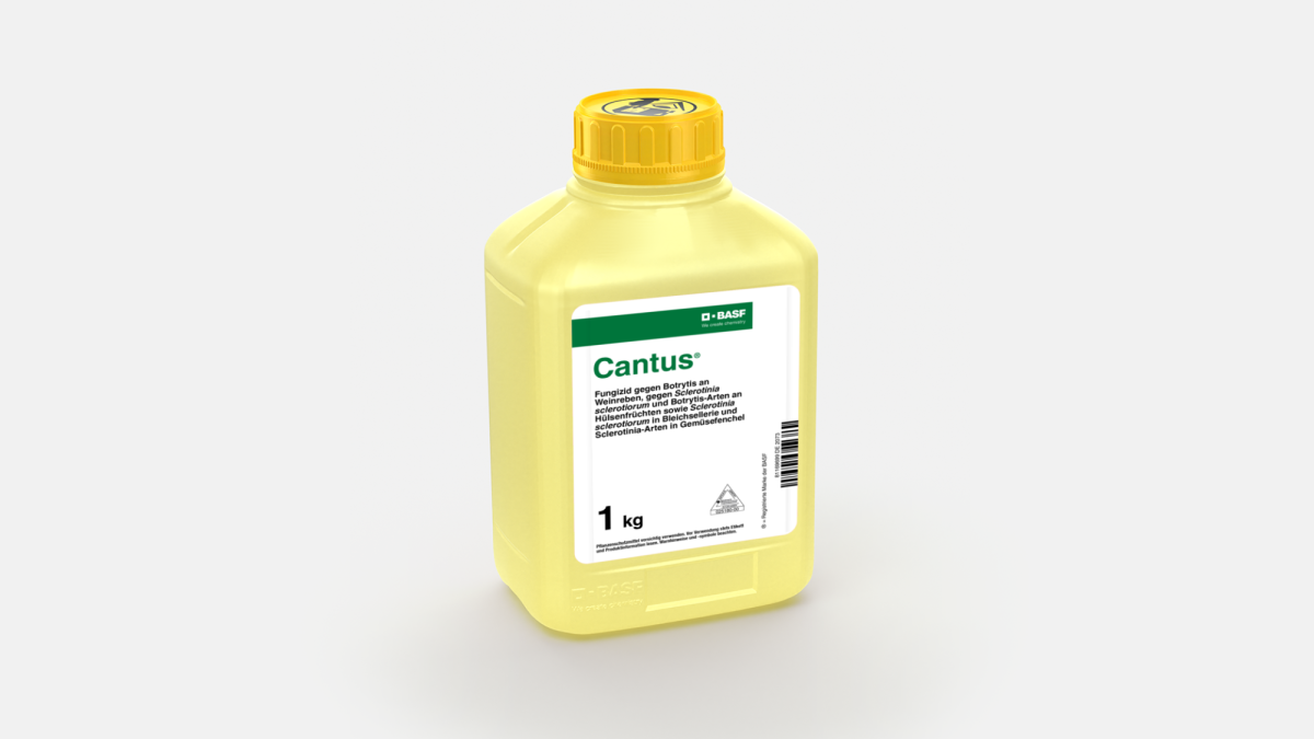 Cantus® - 58031204