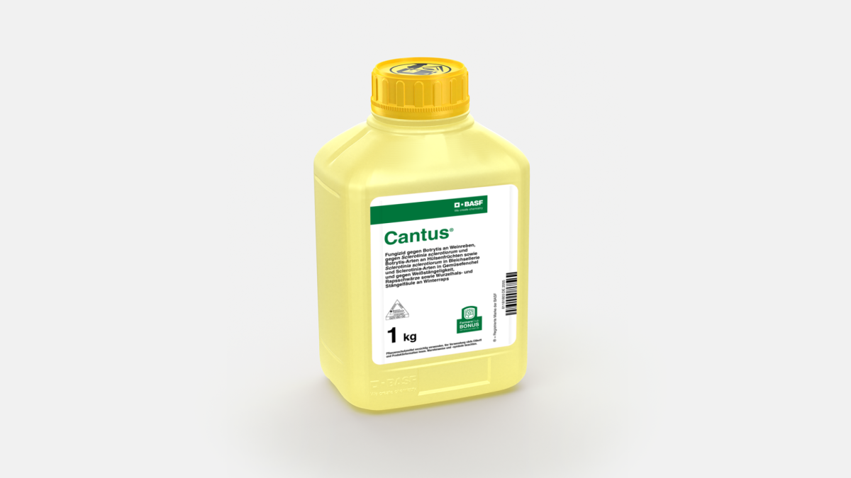 Cantus® - 58031204