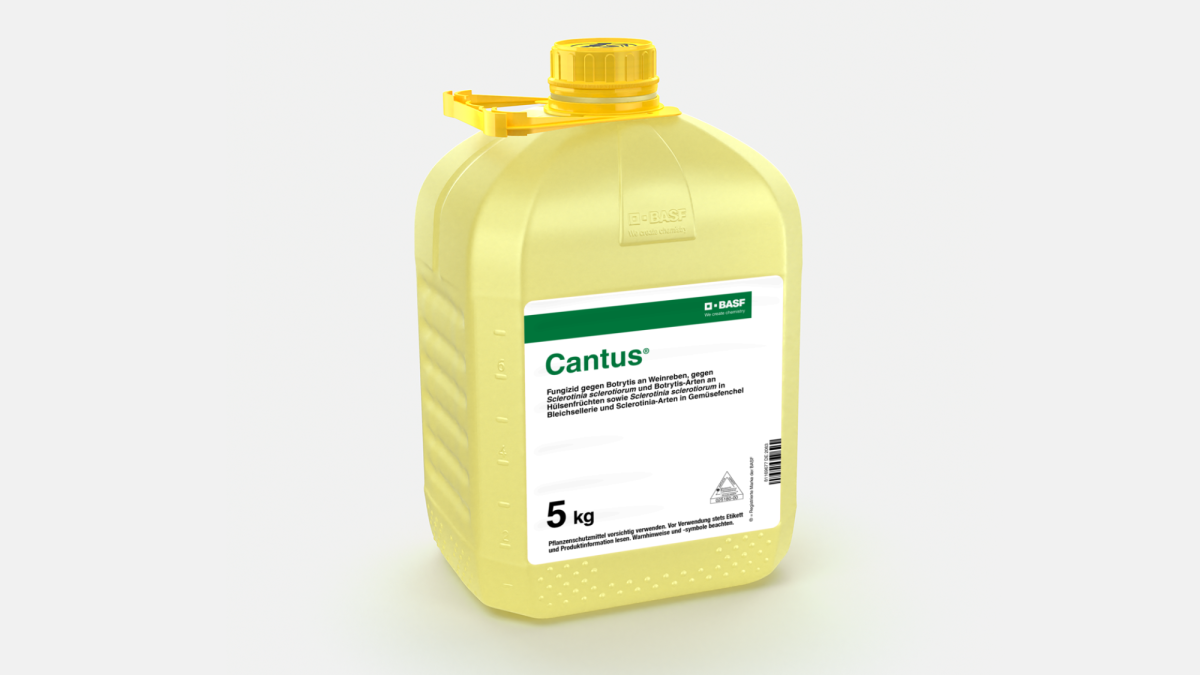 Cantus® - 58049292