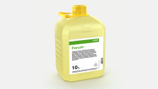 Forum®