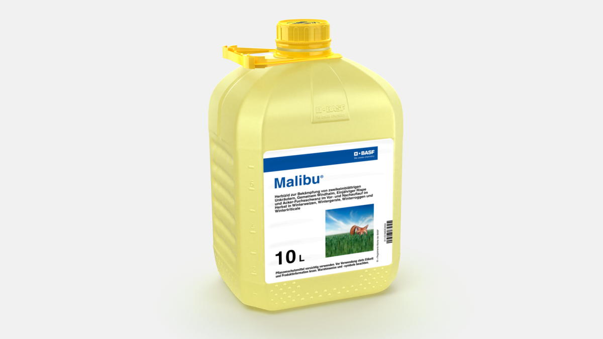 Malibu® - 58647571