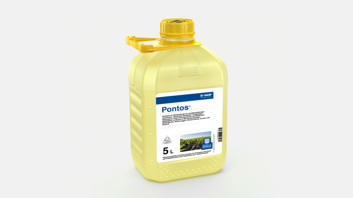 Pontos® - 58046116