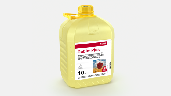 Rubin® Plus