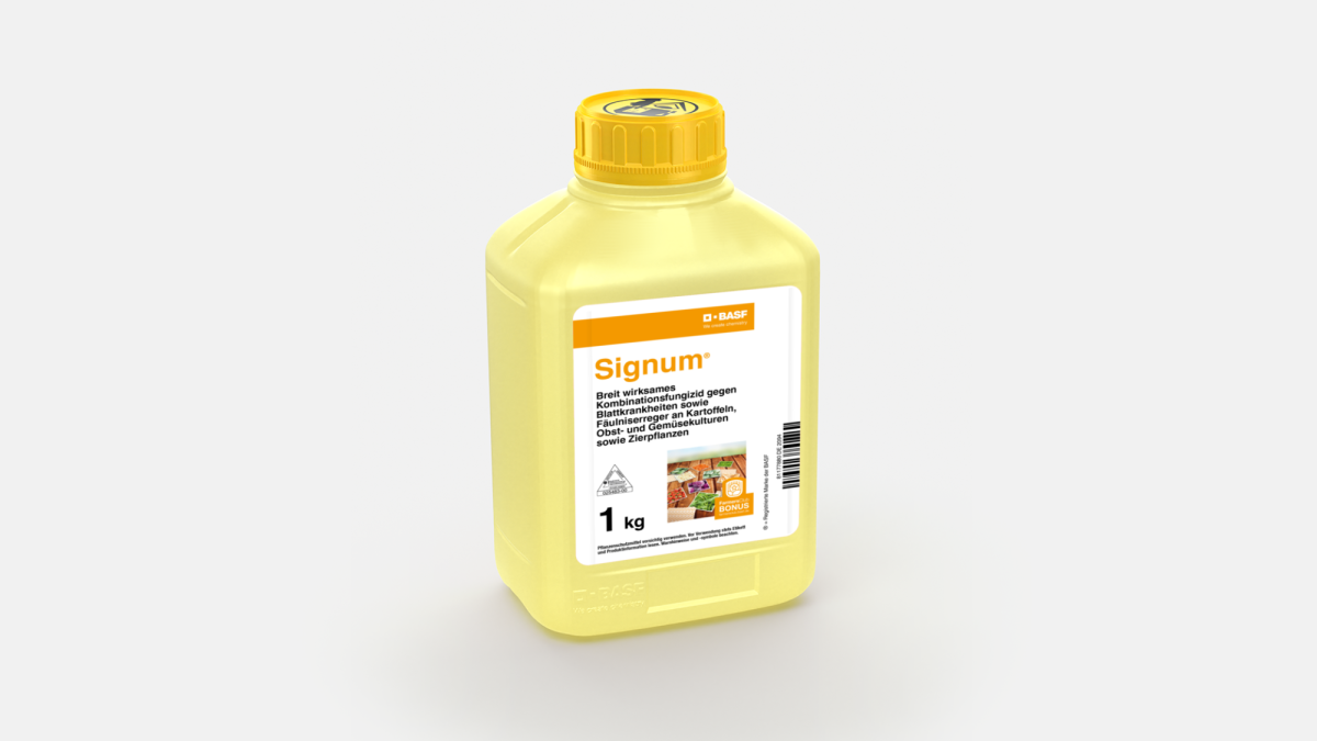 Signum® - 58031259