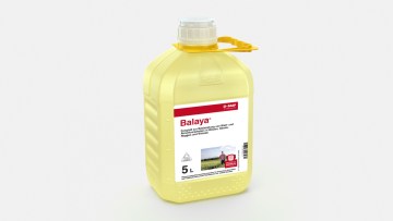 Balaya® 