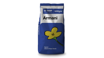 Armani