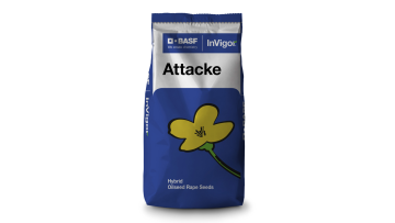 Attacke 